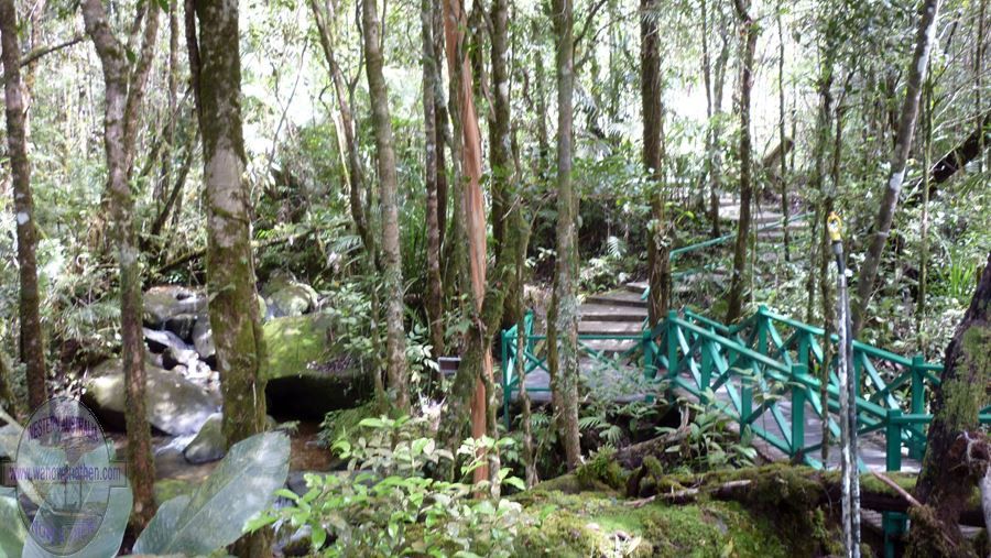 Kinabalu Botanic Garden
