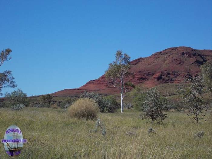 Wittenoom-2015-0005.JPG