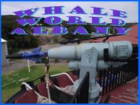 Whale World