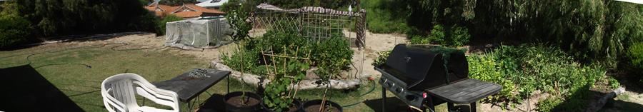 Our first veggie garden